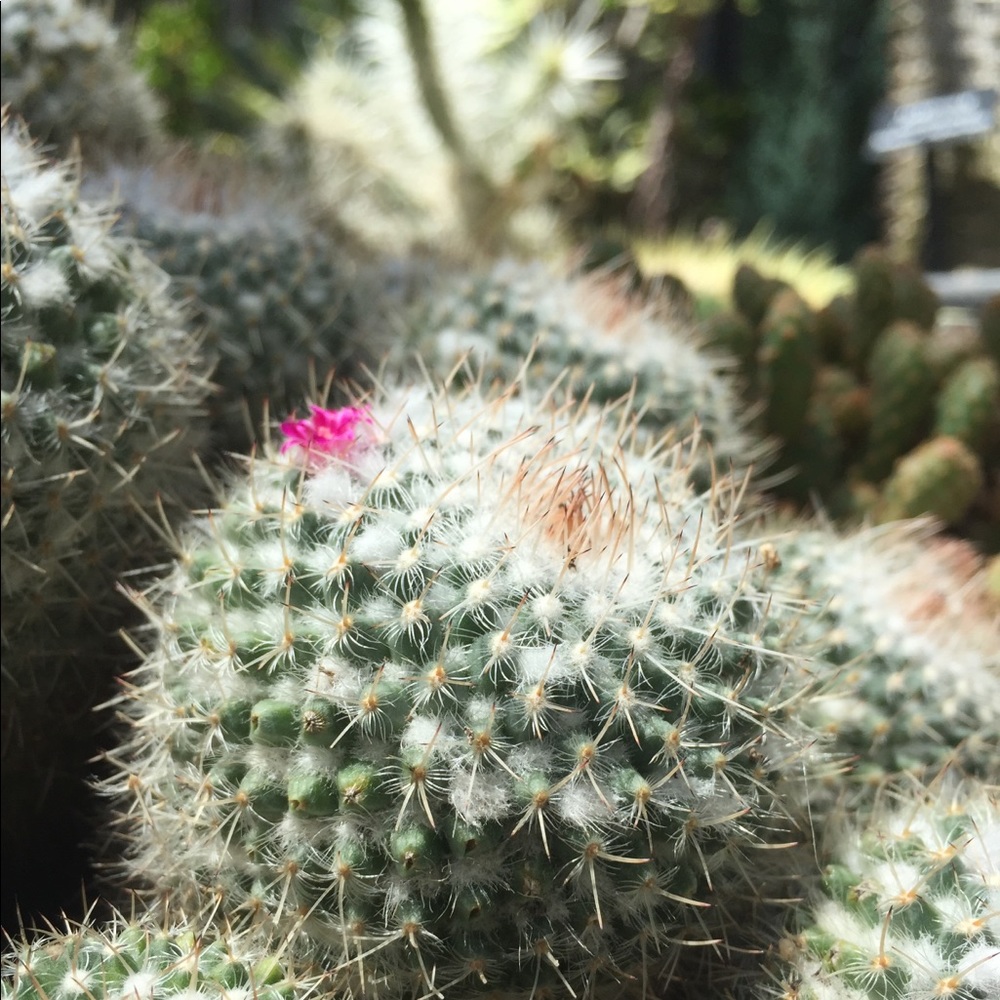 Meet your Posher, Nathalie